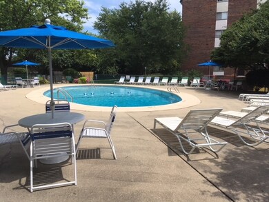 Large Sun Bathing Deck