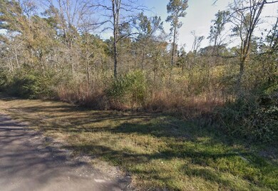 0 State Highway 19 unit 25564447, Huntsville, TX 77320 - photo 7
