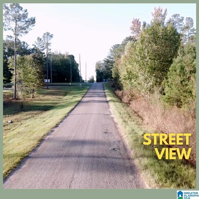 Tract 3B County Road 329, Wedowee, AL 36278 - photo 4