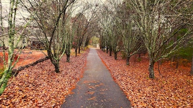 190 Clement Rd, Chesnee, SC 29323 - photo 2