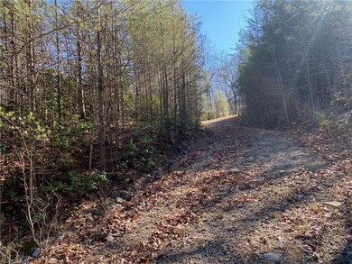 Driveway.