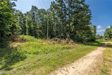 TBD Mountain Rd, Rudy, AR 72952 - photo 6