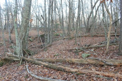 178 Trentwood Dr, Crossville, TN 38558 - photo 4