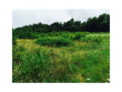 11171 W Hwy 156, West Fork, AR 72774 - photo 3