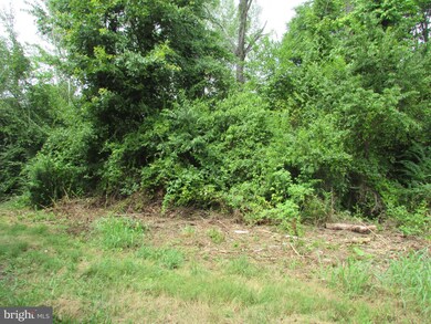 0 Payton Ln, Stevensburg, VA 22726 - photo 5