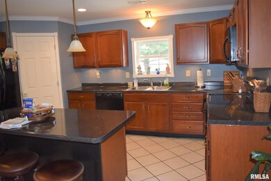 4 Pine Cone Dr, Jacksonville, IL 62650 - photo 7