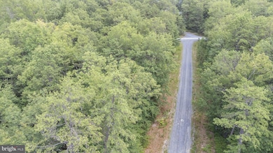 TBD Birds Nest Rd, Hinton, VA 22831 - photo 3