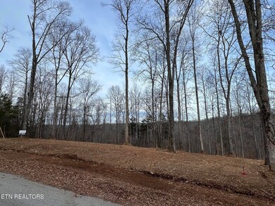 0 Saddleridge unit 1214257, Speedwell, TN 37870 - photo 6