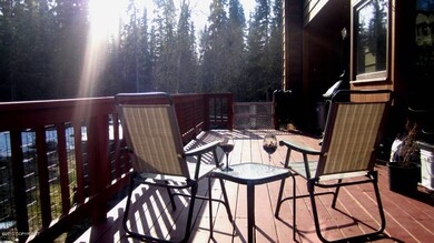 Evening sun