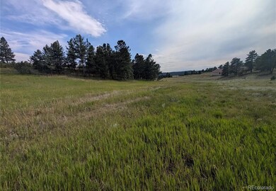 1379 S Mountain Estates Rd, Florissant, CO 80816 - photo 2