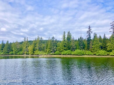 L4 Wadleigh Island N, Klawock, AK 99925 - photo 6