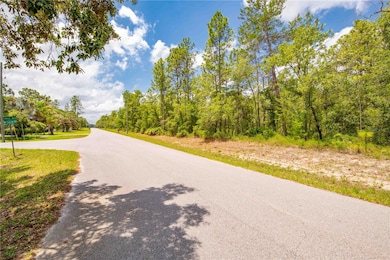 0 Mount Sparrow Rd unit MFRTB8388991, Weeki Wachee, FL 34614 - photo 3