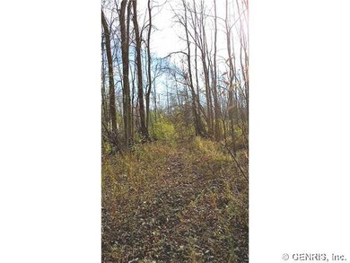 Land/Lot