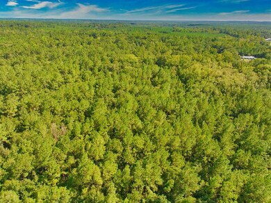 0 Capitola Rd unit 376479, Tallahassee, FL 32317 - photo 7