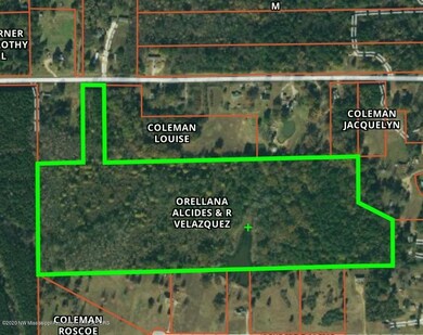 GIS MAP