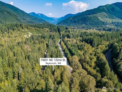 75601 NE 122nd St, Skykomish, WA 98288 - photo 7