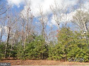 0 Red Fox Ln unit 1000998786, Milton, DE 19968 - photo 4