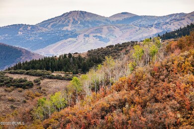 7287 Tall Oaks Dr Park City UT-print-007