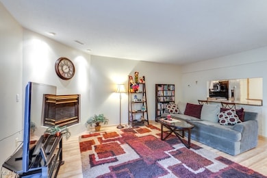 842 Arboretum Cir, Northfield, OH 44067 - photo 6