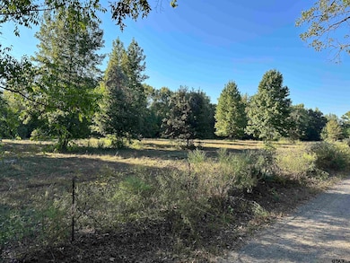 TBD County Road 3701, Murchison, TX 75778 - photo 6