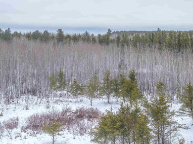 View of snowy view