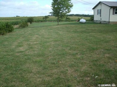 Yard.