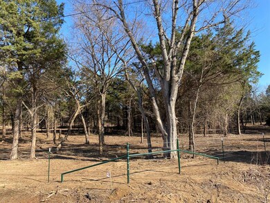 1768 Gordonville Rd, Gordonville, TX 76245 - photo 5