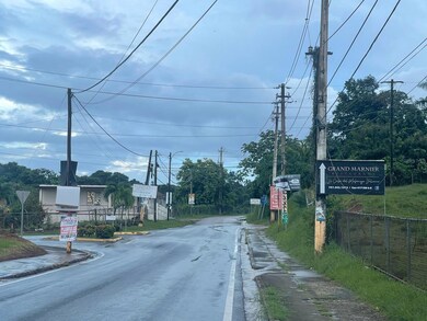 PR-417 Barrio Marias En Aguada, Aguada, PR 00602 - photo 7