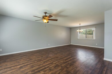 Living & Dining Room