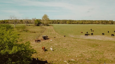 000 SW 180th Ave, Dunnellon, FL 34432 - photo 3