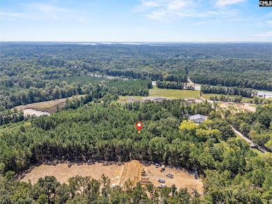 0 Mt Olivet Church Rd unit 617090, Chapin, SC 29036 - photo 7