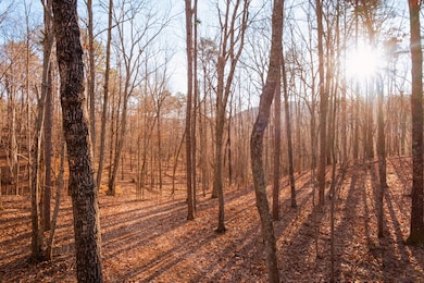McLemore Cove Ridge-2