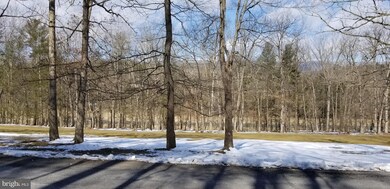 0 Linda Ln unit VASH117426, Basye, VA 22810 - photo 5