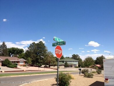 XXX Villa View Dr, Farmington, NM 87402 - photo 3