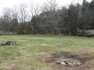 Large Yard