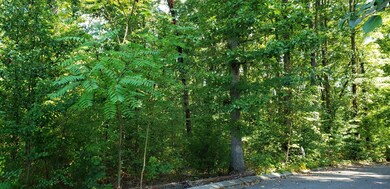 0 Shady Oaks Cove unit RTC2720334, Dunlap, TN 37327 - photo 2