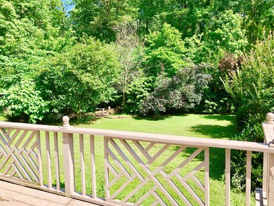 Expansive Deck