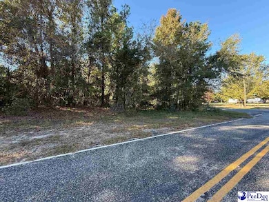 Lot 9-14 Maple Ave, McBee, SC 29101 - photo 2