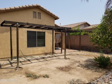 Back yard 1