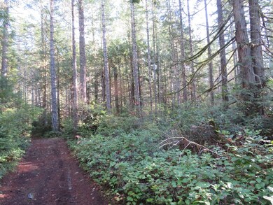 0 Wayne Rd W unit 1 18389154, Seabeck, WA 98380 - photo 2