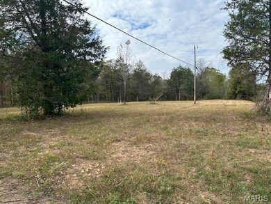 2664 M St, Ironton, MO 63650 - photo 4