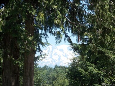 14427 Lazelle Ln SE, Yelm, WA 98597 - photo 5