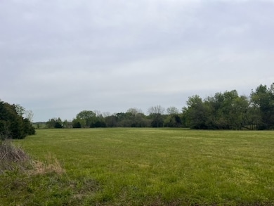 0 Arkansas 43, Maysville, AR 72747 - photo 4