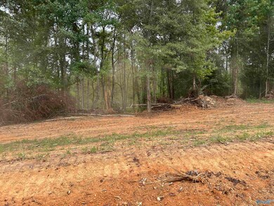 21350 Holland Rd, Athens, AL 35614 - photo 2