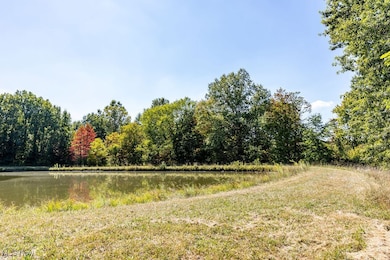 8131 Leffingwell Rd, Canfield, OH 44406 - photo 6