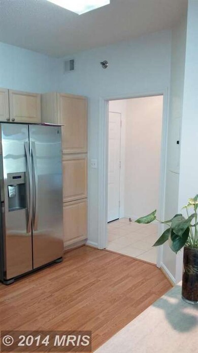 3005 Leisure World Blvd S unit 419, Silver Spring, MD 20906 - photo 5