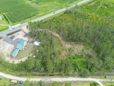 00 Willacoochee Hwy, Willacoochee, GA 31750 - photo 6