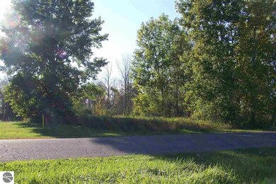 -00- Midshipman Dr, Au Gres, MI 48703 - photo 3