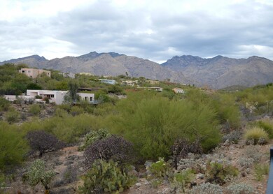 Rear yard views