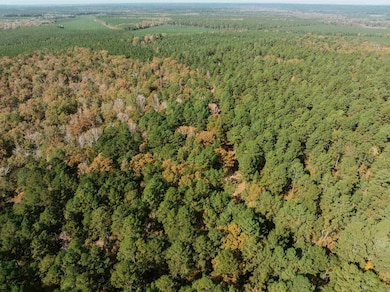 000 81 Rd, Tinsman, AR 71631 - photo 5